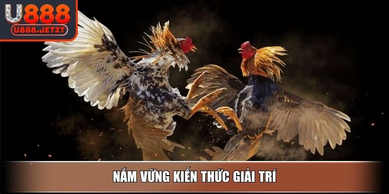 Đá Gà Cựa Dao - Hướng Dẫn Cách Chơi Và Mẹo Dễ Thắng Tại U888 4 Nắm vững kiến thức giải trí