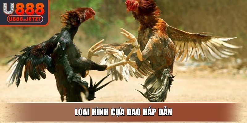 Loại hình cựa dao hấp dẫn