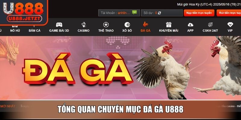 Tổng quan chuyên mục Đá Gà U888