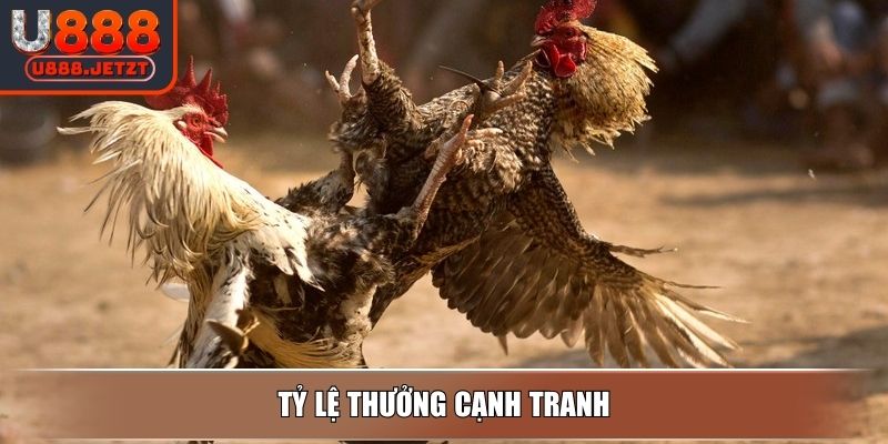 Tỷ lệ thưởng cạnh tranh
