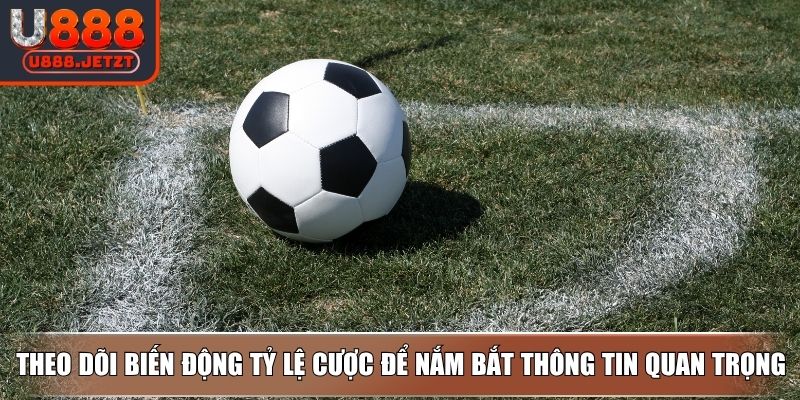 Soi Kèo Phạt Góc - Bật Mí Những Mẹo Soi Chuẩn Xác Nhất 4 Theo dõi biến động tỷ lệ cược để nắm bắt thông tin quan trọng