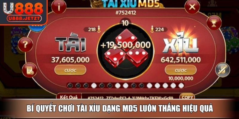 Tài Xỉu MD5 Khám Phá Luật Chơi Và Bí Kíp Luôn Thắng Hiệu Quả 4 Bí quyết chơi Tài Xỉu dạng MD5 luôn thắng hiệu quả