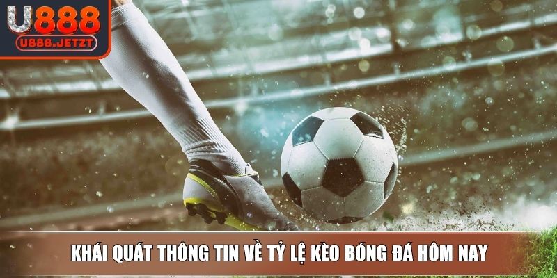 Tỷ Lệ Kèo Bóng Đá Hôm Nay Cách Tính Kèo Chuẩn Cho Người Chơi 2 Khái quát thông tin về tỷ lệ kèo bóng đá hôm nay
