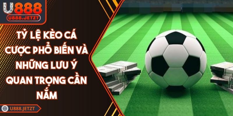 Tỷ Lệ Kèo Cá Cược Phổ Biến Và Những Lưu Ý Quan Trọng Cần Nắm