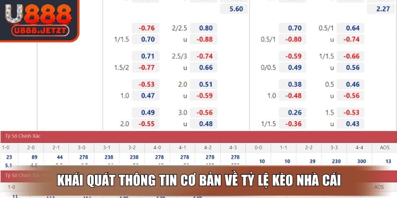 Tỷ Lệ Kèo Nhà Cái - Tìm Hiểu Thông Tin Và Yếu Tố Ảnh Hưởng 2 Khái quát thông tin cơ bản về tỷ lệ kèo nhà cái